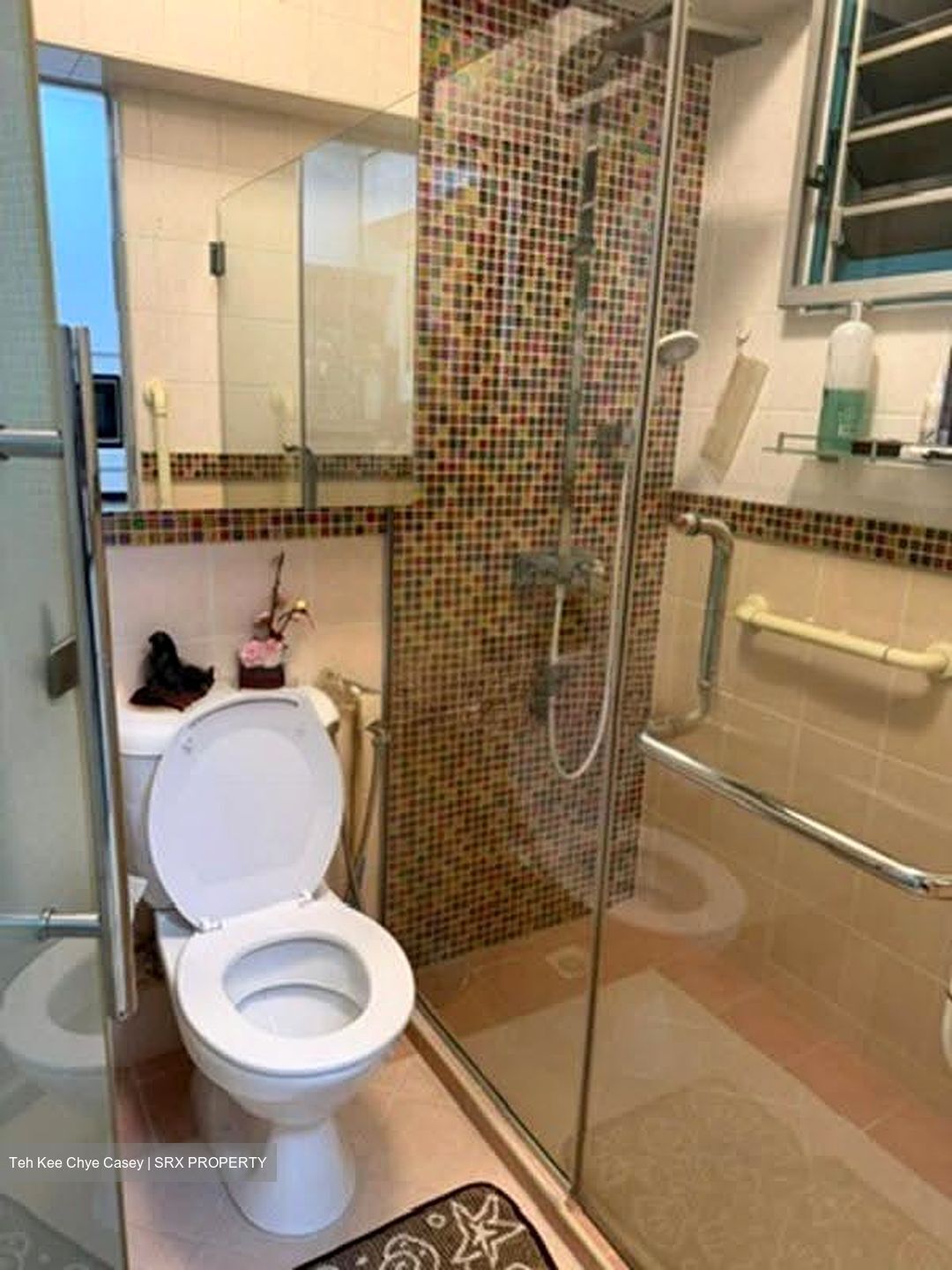 Blk 13 Farrer Park View (Kallang/Whampoa), HDB 4 Rooms #614636101